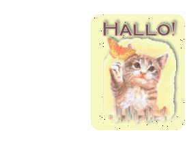 Plaatjes Hello 