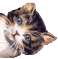 Plaatjes Hello 