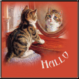 Plaatjes Hello 