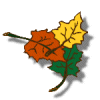 Plaatjes Herfst 