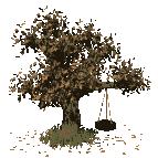 Plaatjes Herfst Boom Met Schommel