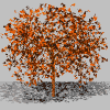 Plaatjes Herfst 