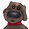 Honden Plaatjes 