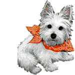 Honden Plaatjes 