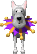 Honden Plaatjes 