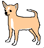 Honden Plaatjes 