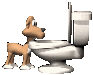 Honden Plaatjes 