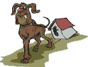 Honden Plaatjes 