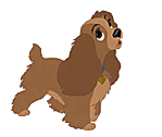 Honden Plaatjes 