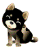 Honden Plaatjes 