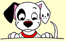Honden Plaatjes 