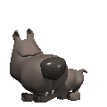 Honden Plaatjes 