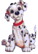 Honden Plaatjes 