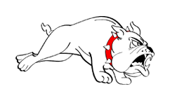 Honden Plaatjes 