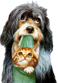 Honden Plaatjes Hond Met Kat In Pantoffel