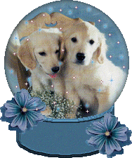 Honden Plaatjes 