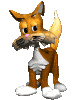 Honden Plaatjes 