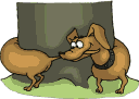 Honden Plaatjes 