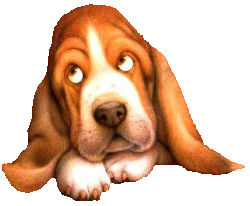 Honden Plaatjes 