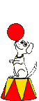 Honden Plaatjes 
