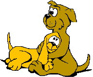 Honden Plaatjes 