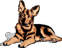 Honden Plaatjes 