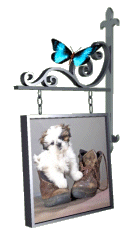 Honden Plaatjes 