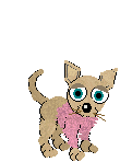Honden Plaatjes 