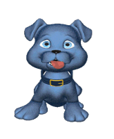 Honden Plaatjes 