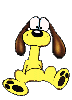 Honden Plaatjes 