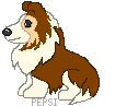 Honden Plaatjes 