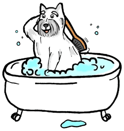 Honden Plaatjes 