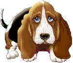 Honden Plaatjes 