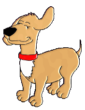 Honden Plaatjes 