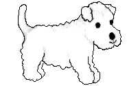 Honden Plaatjes 
