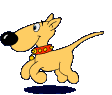 Honden Plaatjes 