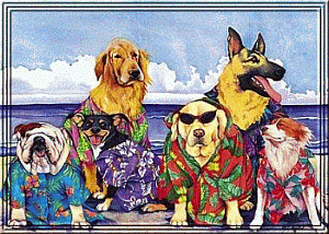 Honden Plaatjes 