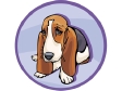 Honden Plaatjes 