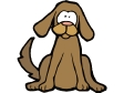 Honden Plaatjes 