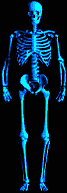 Plaatjes Horror 