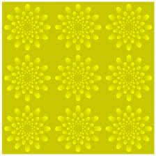 Plaatjes Illusie 