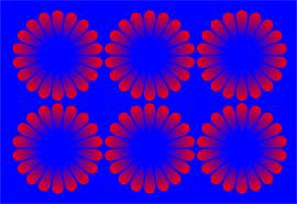 Plaatjes Illusie 