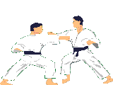Judo Plaatjes Karate Judo Vechten