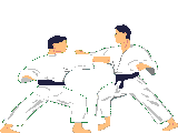 Judo Plaatjes Karate Judo Vechten