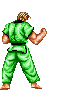 Judo Plaatjes 