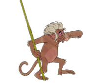 Jungle book Plaatjes 