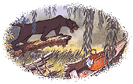 Jungle book Plaatjes 