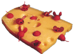 Kaas Plaatjes Muizen Met Een Stuk Kaas