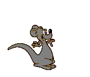 Plaatjes Kangaroes 