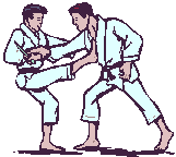 Karate Plaatjes Wedstrijdje Karate